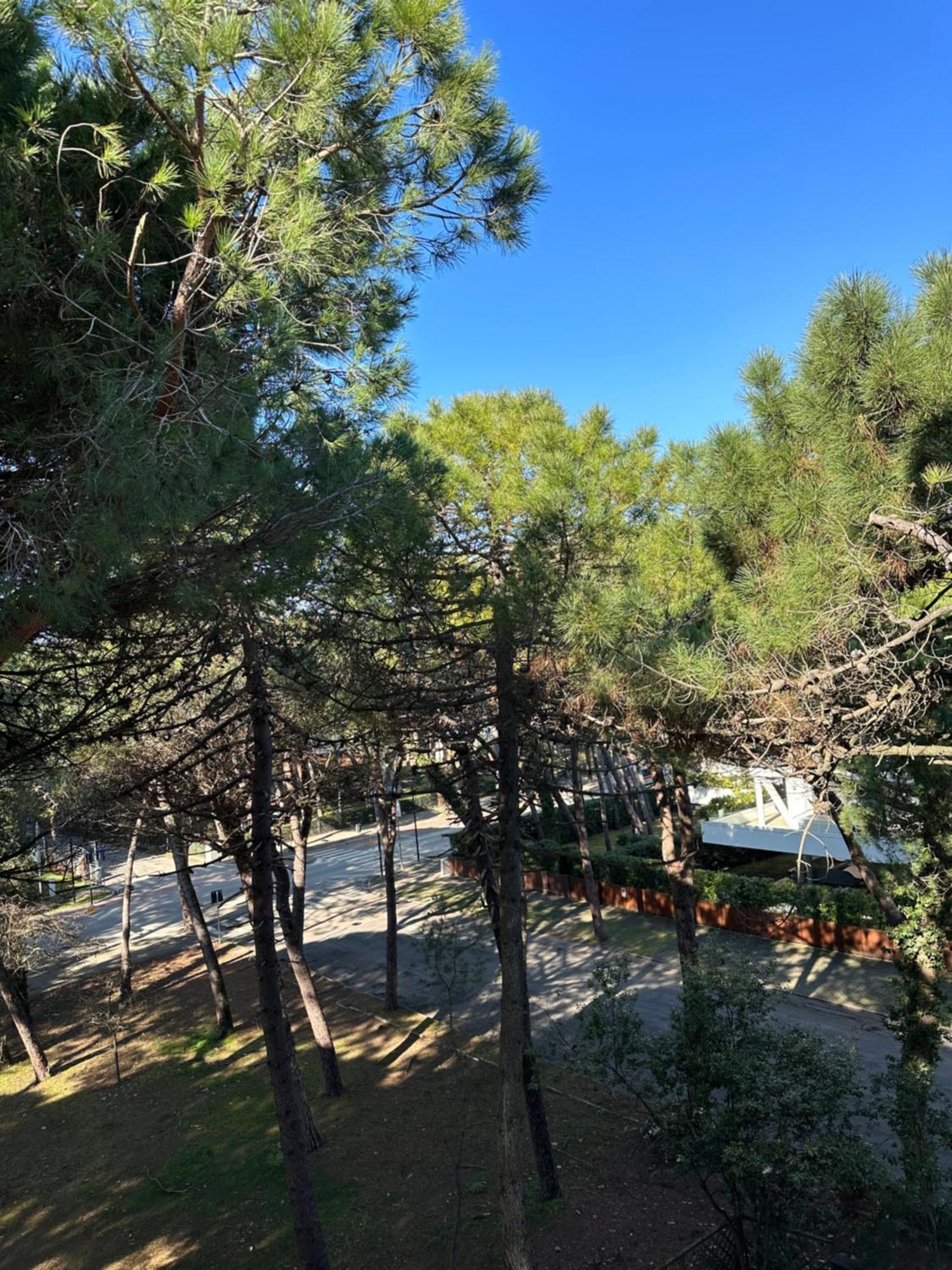 Hotel Lux Mima
